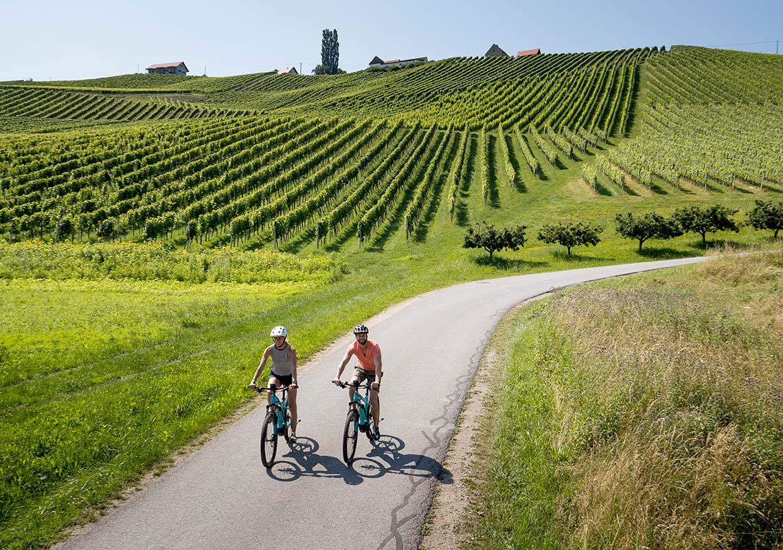 Radln und Reiten in der Südsteiermark